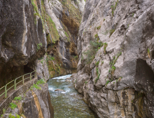 Ruta del Cares